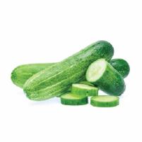 Cucumber