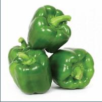 Capsicum