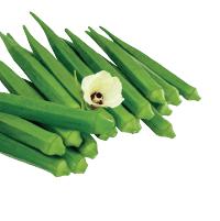 Bhendi-Okra