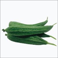 Ridge Gourd