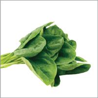 Spinach