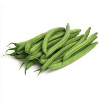 Bush Beans