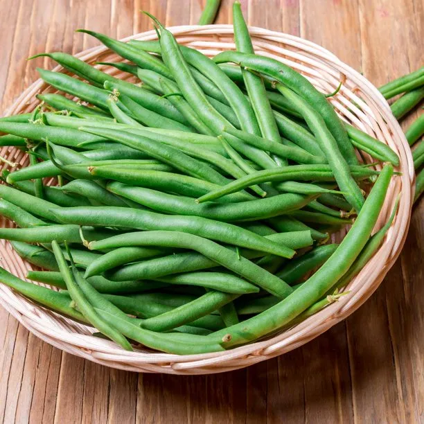 French-pole-bean