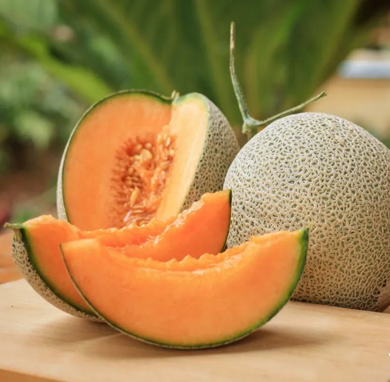 MUSKMELON