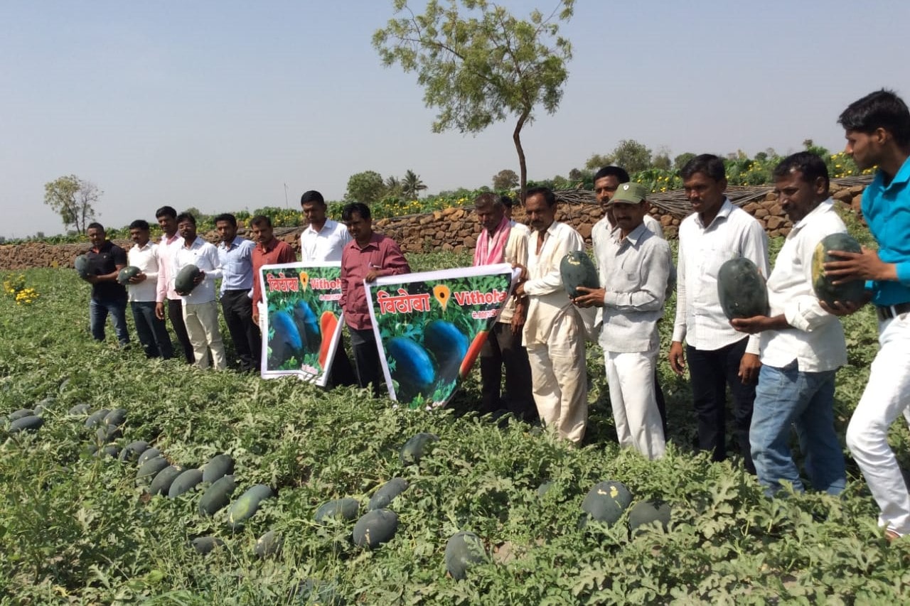 watermelon field day-min